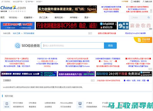 站长工具综合查询指南：从入门到精通的全方位解析